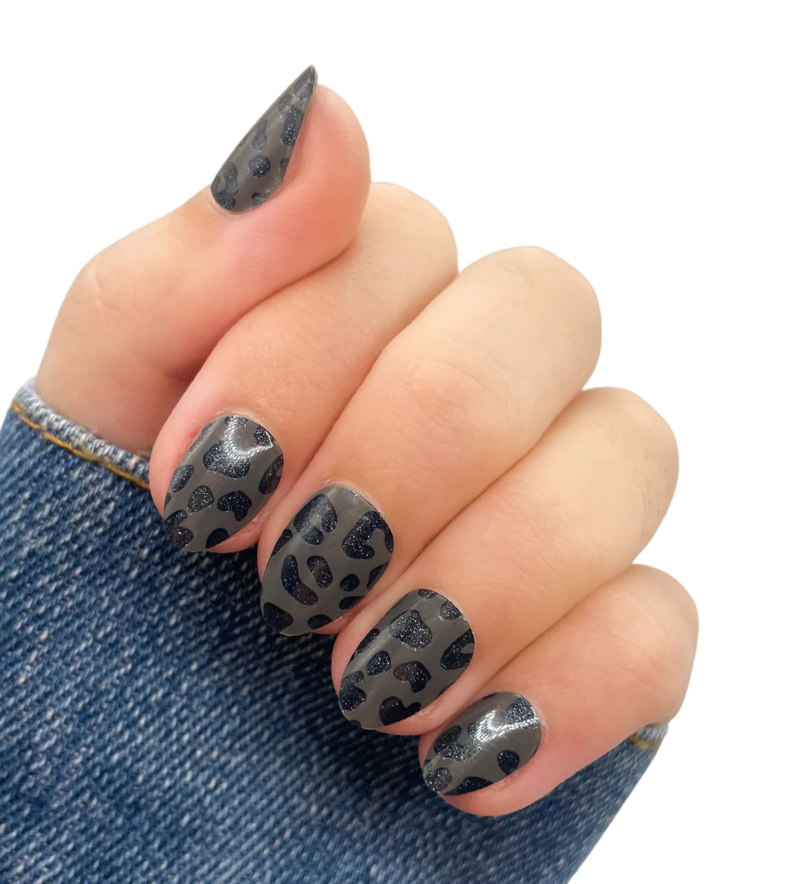 Leopard Is The New Black (Starter Kit)