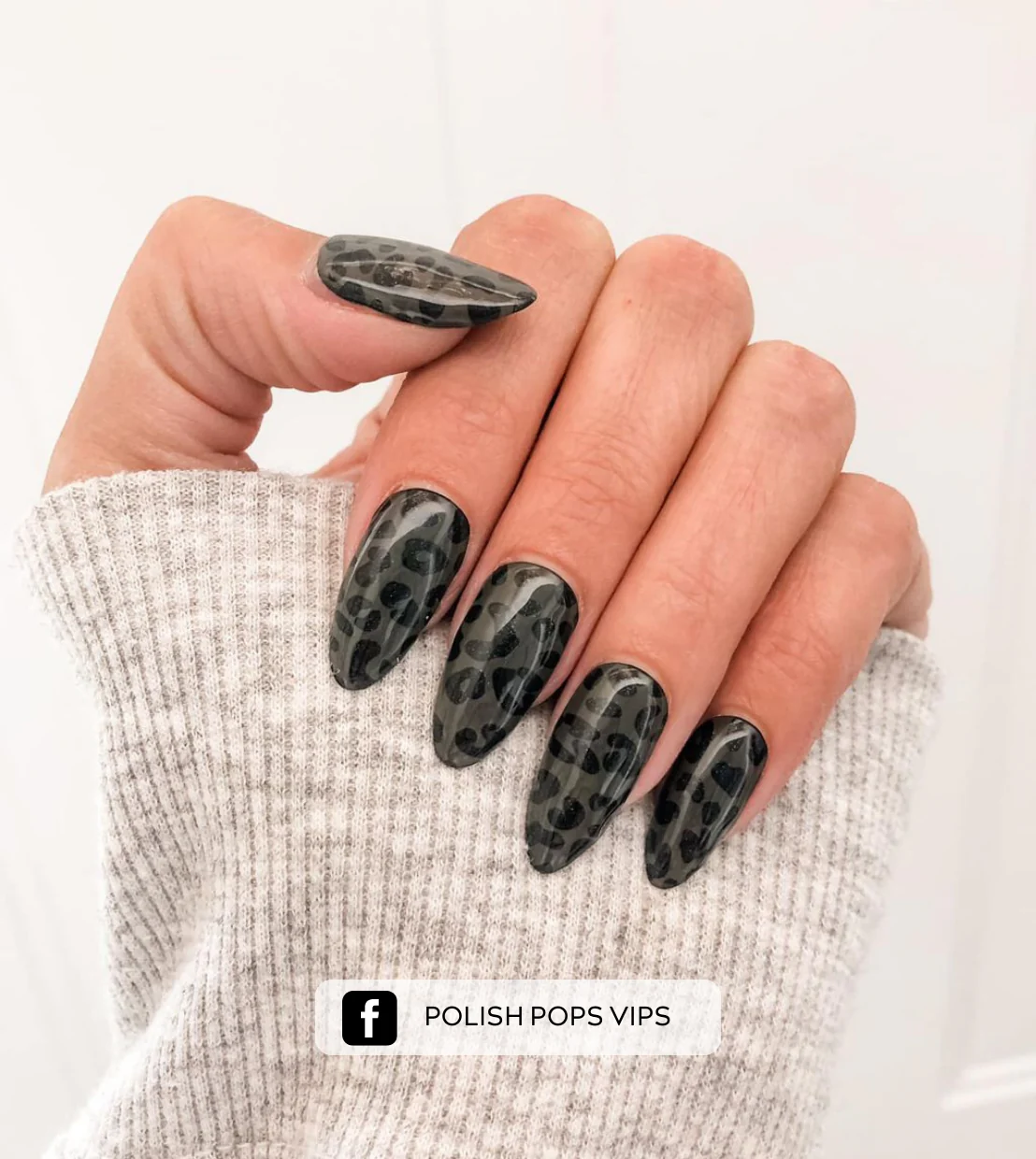 Leopard Is The New Black (Starter Kit) - Image 3