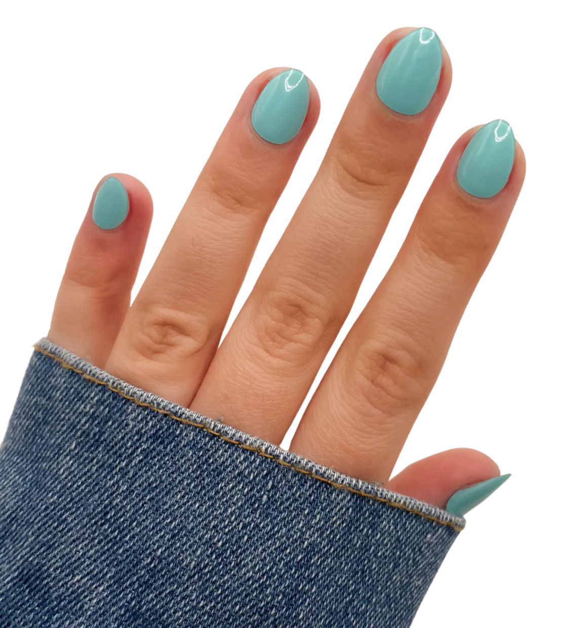 Turquoise and Caicos - Image 2