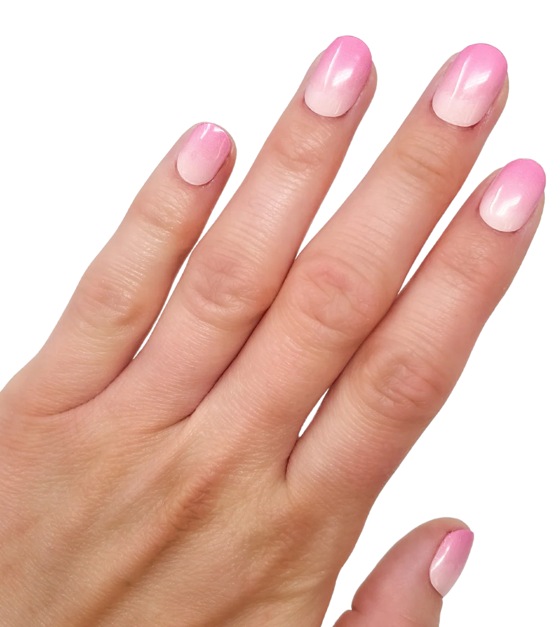 Tickled Pink (Starter Kit) - Image 2