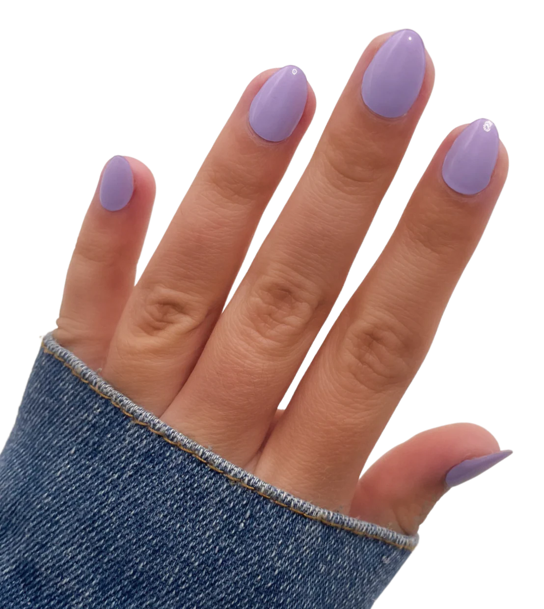 Lovely Lavender (Starter Kit) - Image 2