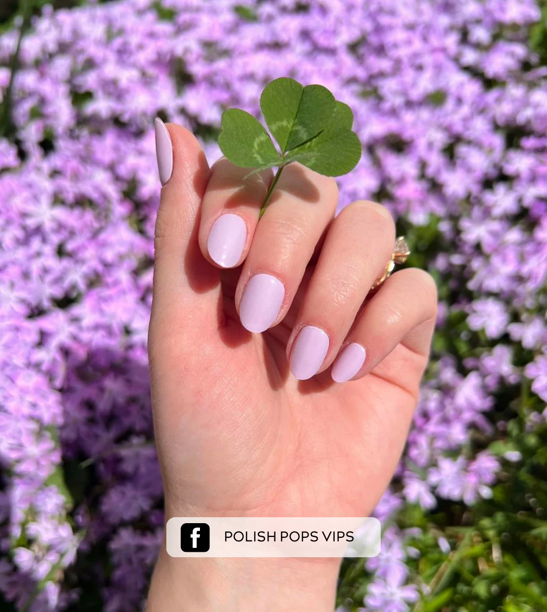 Lovely Lavender - Image 3