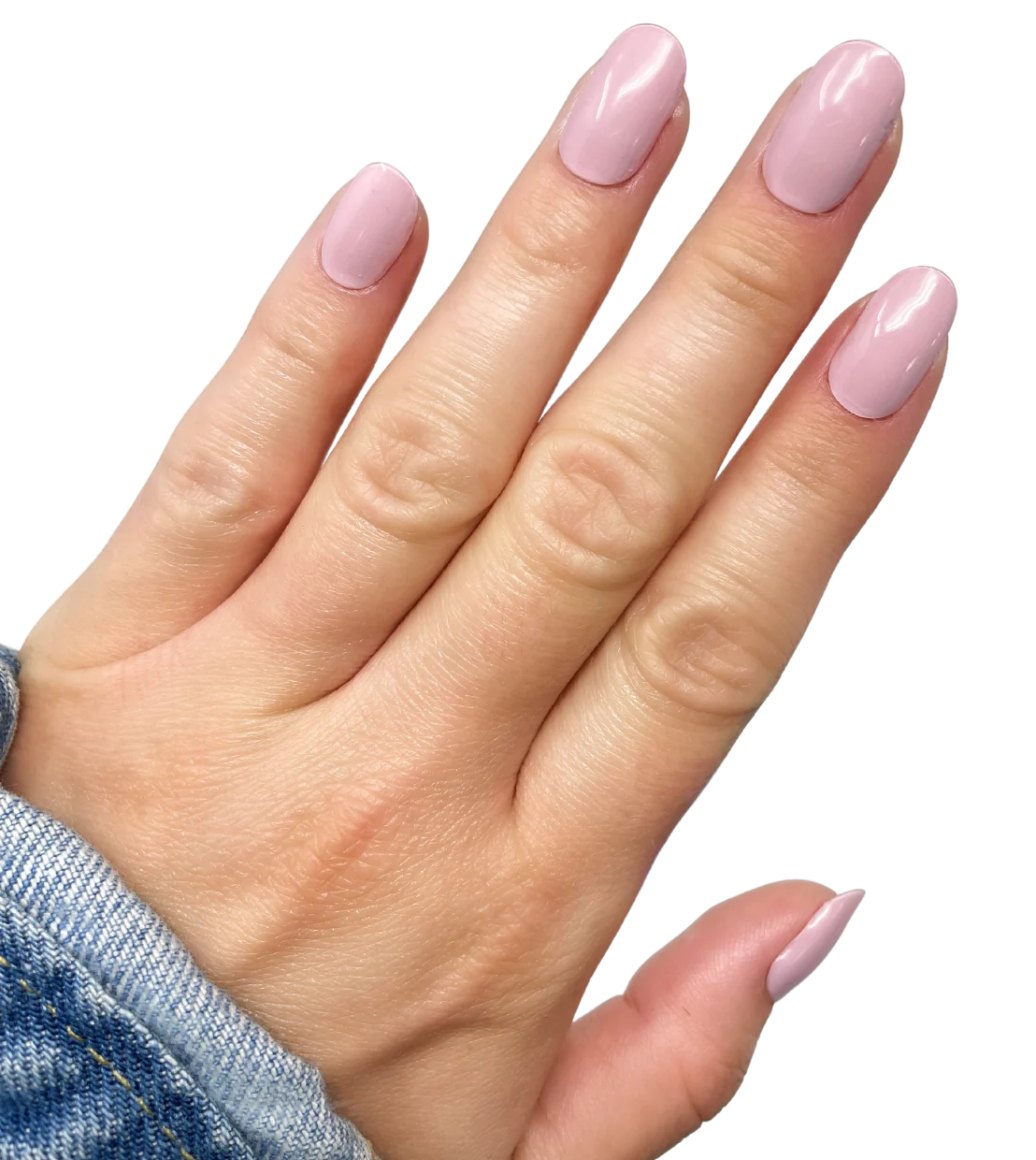 Simply Mauvelous - Image 2