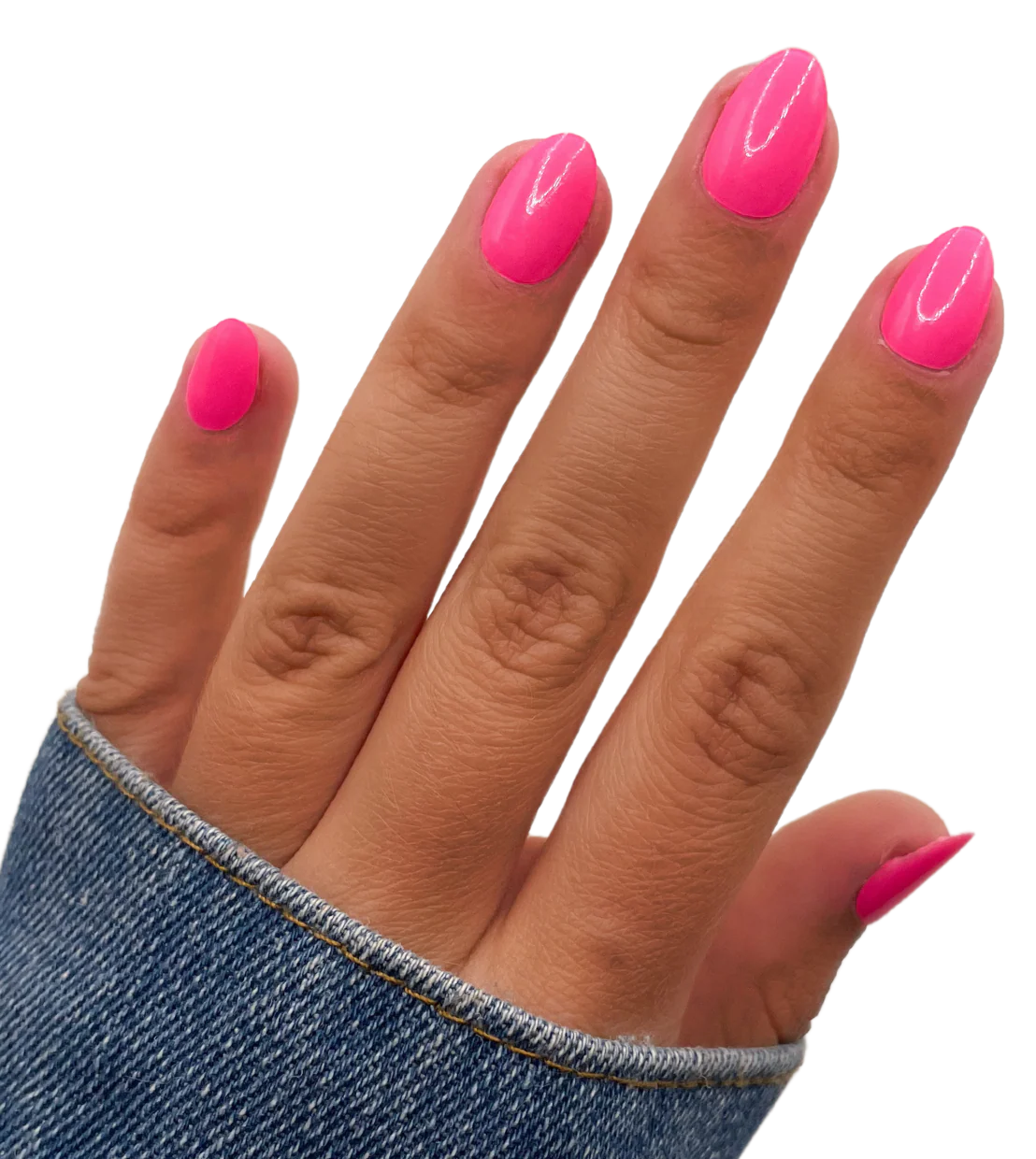 Coral Crush - Image 2