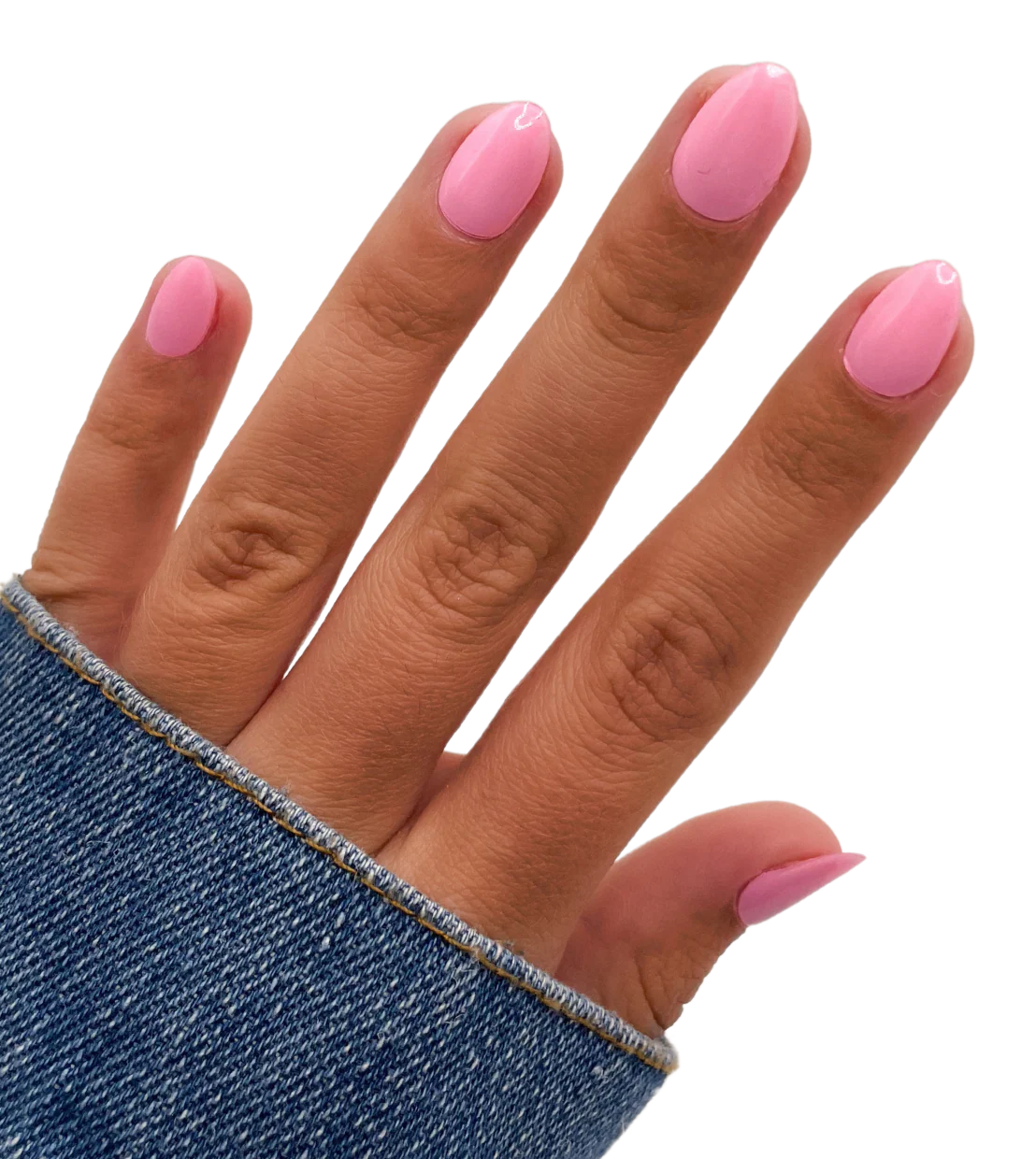 Let's Flamingle (Starter Kit) - Image 2