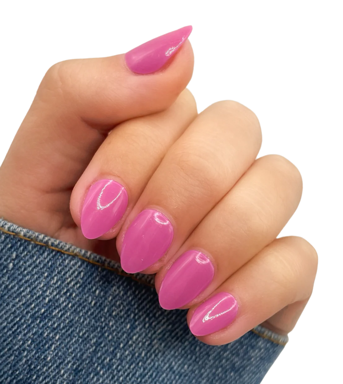 Violet Rose