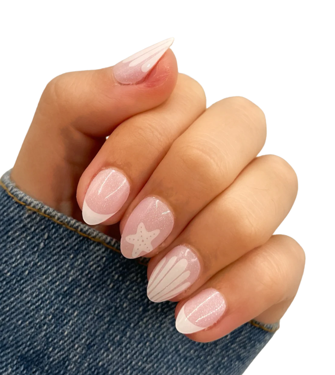 French Shell-viera
