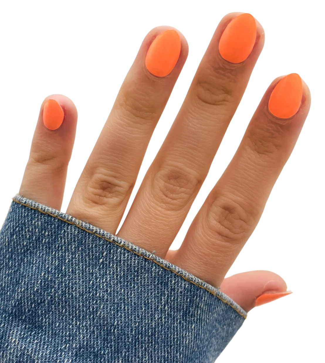 Orange Crush - Image 2