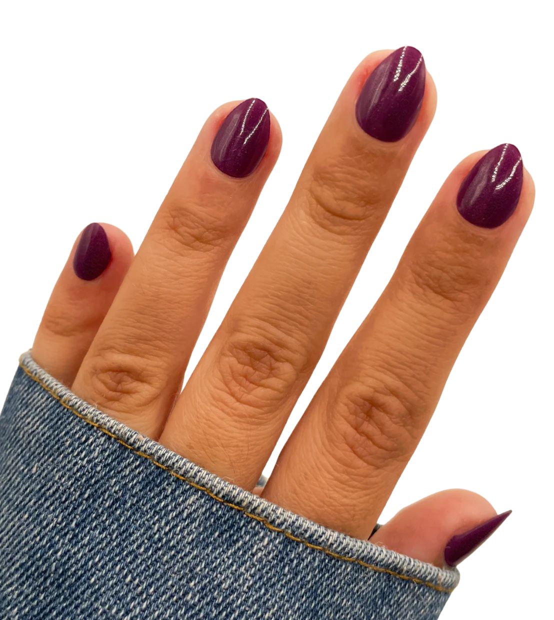 Sugar Plum - Image 2