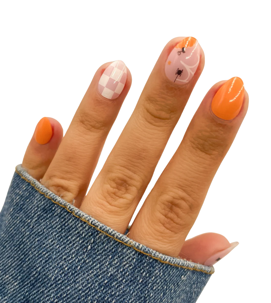 Hello Gourdgeous - Image 2