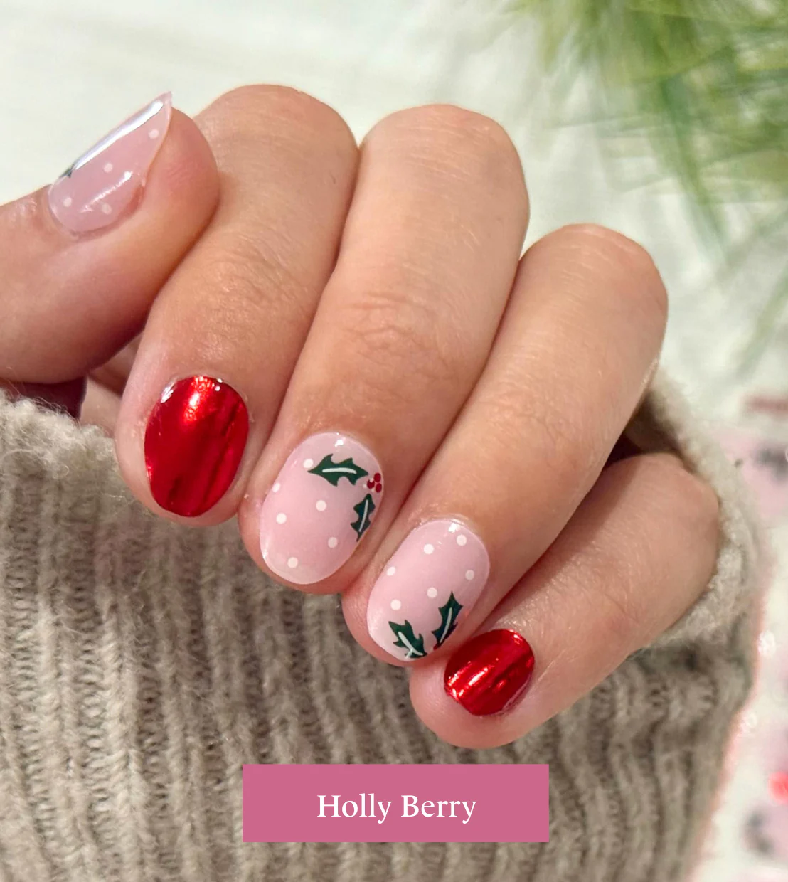 Holly Berry - Image 3