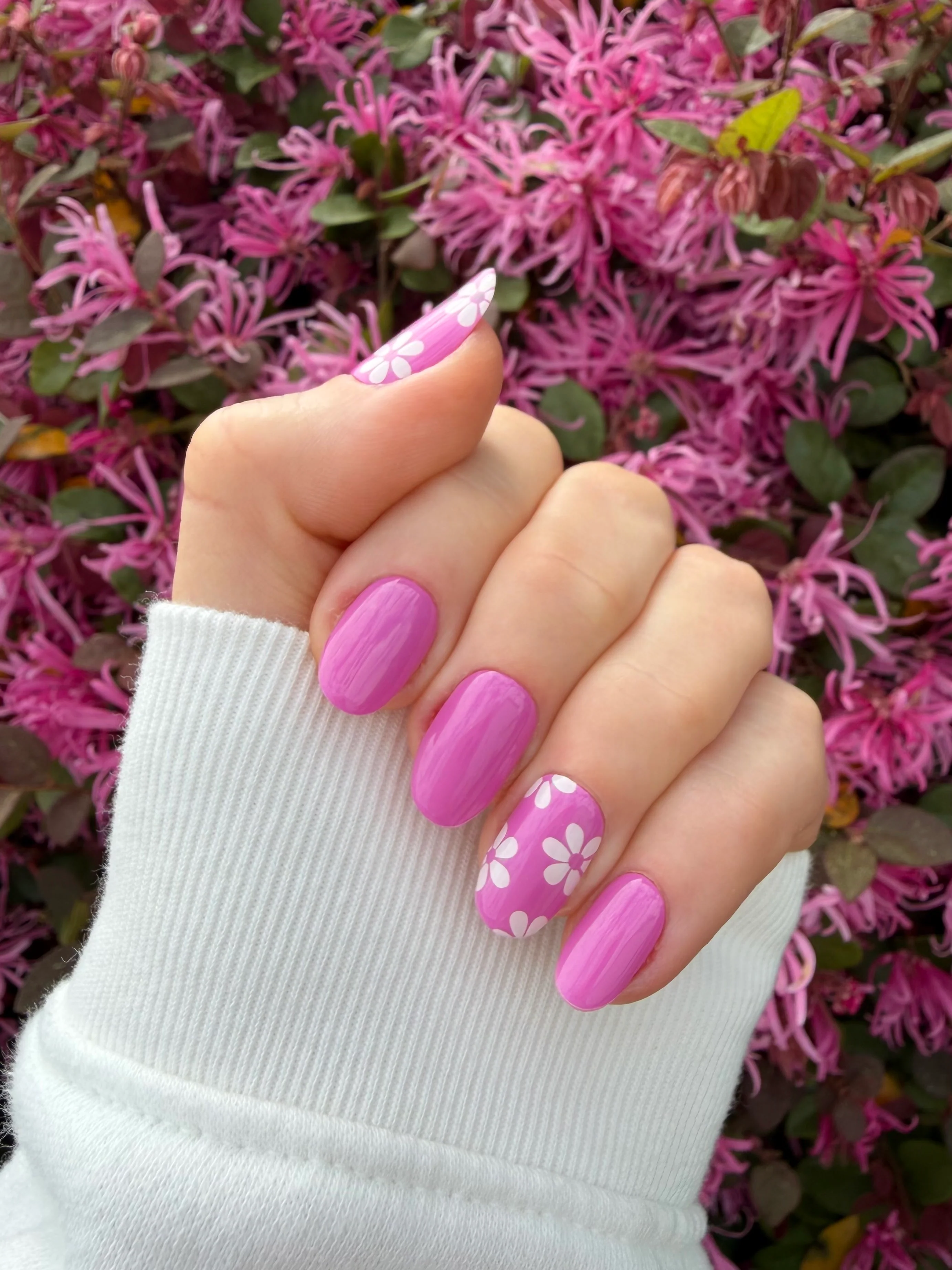 Petal Perfect - Image 4