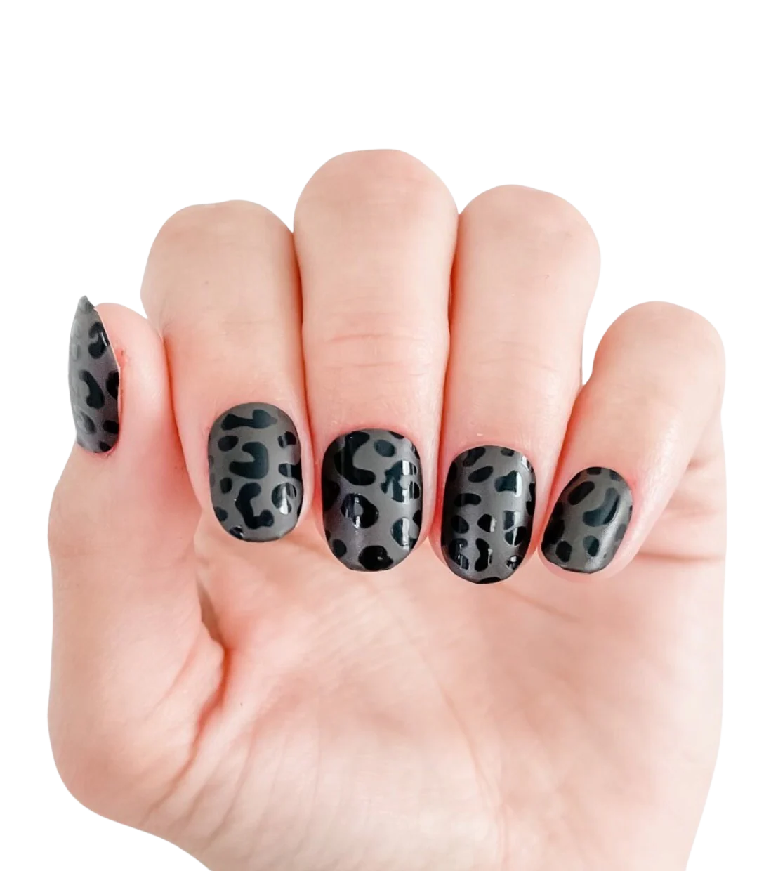 Leopard Is The New Black